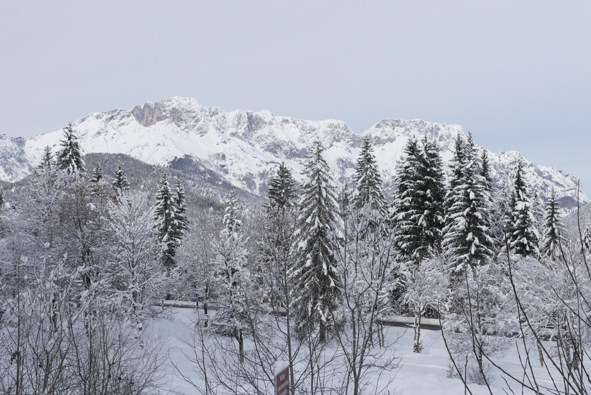 Ferienwohnung Haus Elisabeth, Ahornkaser Berchtesgaden Zewnętrze zdjęcie